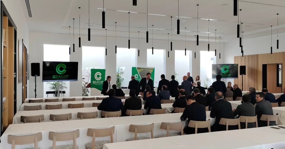 Instalación audiovisual en sala corporativa con iluminación LED